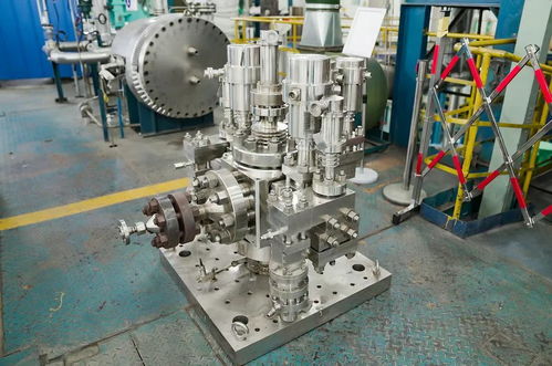 我国首台核电厂稳压器先导式安全阀在川通过产品鉴定