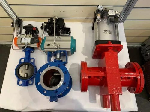 alpha气动阀门在蒙古国uhg选煤厂成功应用并完美替代欧美产品